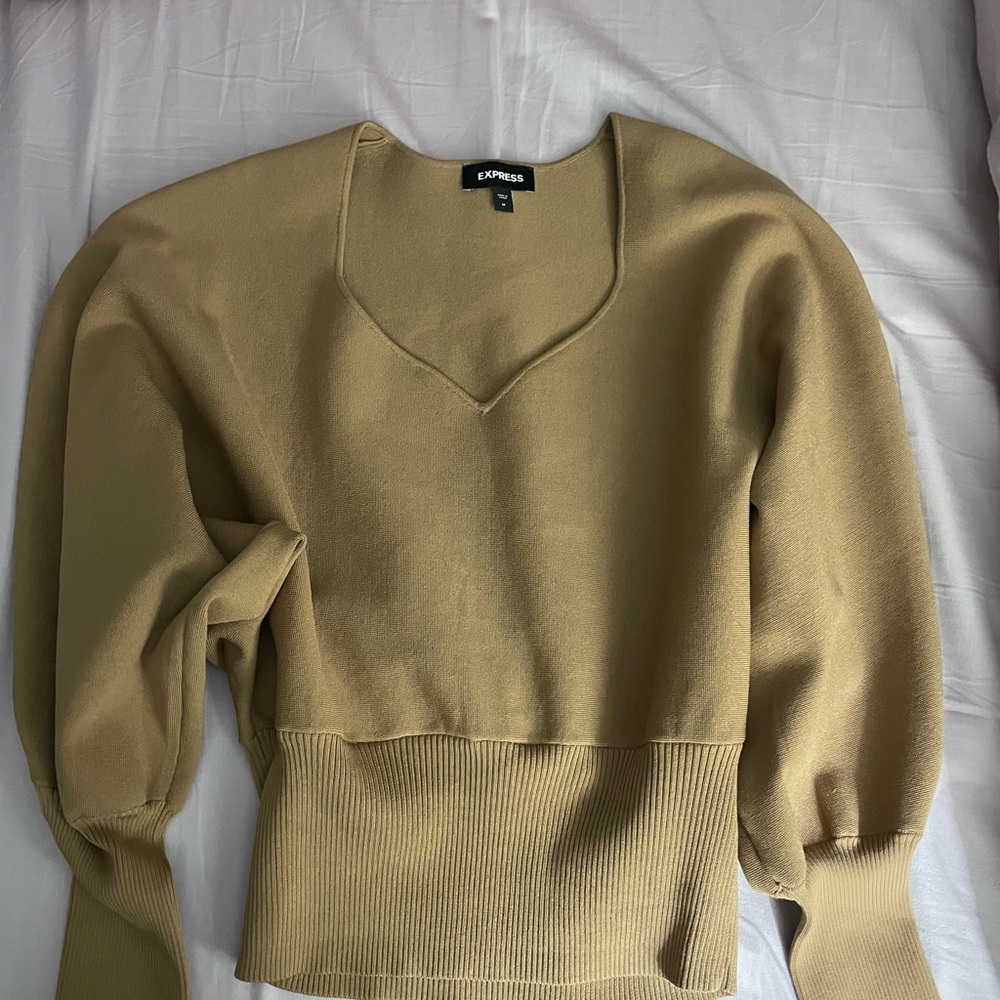 Express Women's V-Neck Sweater in Tan